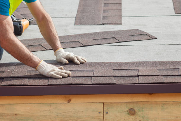 Best Metal Roofing Installation  in Ettrick, VA